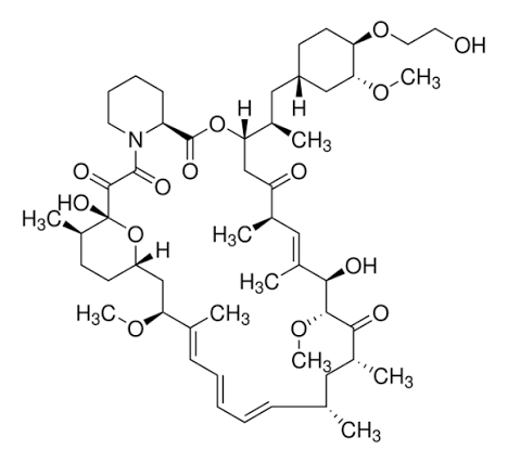 Everolimus EP Impurity C